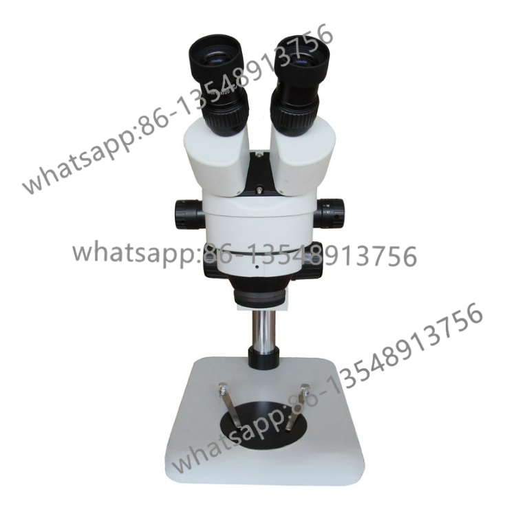 7-45 Microscopio a ingrandimen - Body Jewelry Repair recensione e prezzo