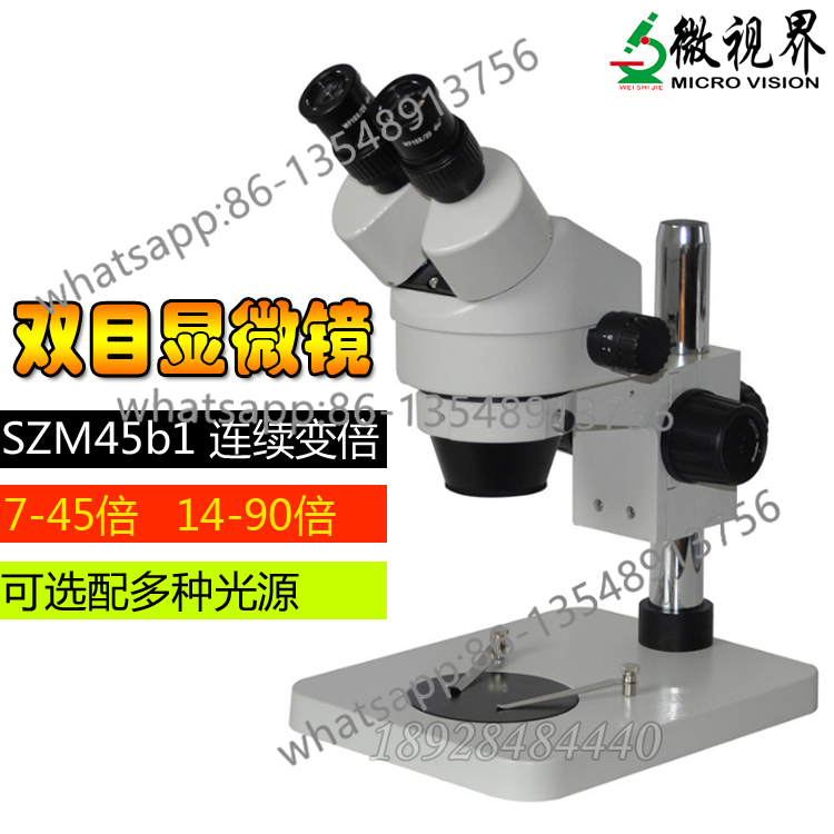 7-45 Microscopio a ingrandimen - Body Jewelry Repair recensione e prezzo