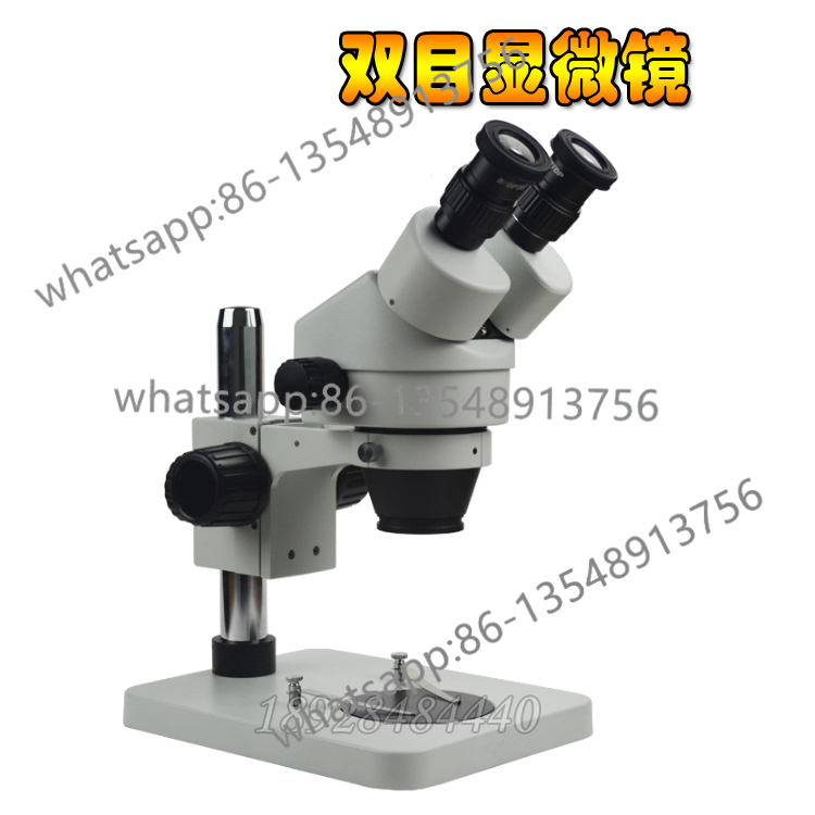 7-45 Microscopio a ingrandimen - Body Jewelry Repair recensione e prezzo